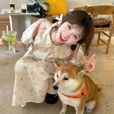 怪兽航线